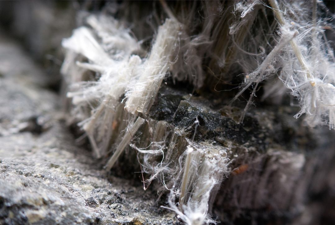 black and white image of exposed asbestos fibres