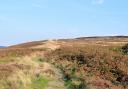 The Moors near Carlton