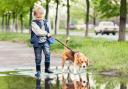 Where to walk your dog this weekend