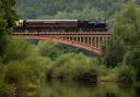 One author will be reading her book series onboard a Severn Valley Railway carriage