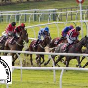Bangor-on-Dee Racecourse event in aid of Clwyd Special Riding Centre.