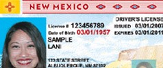 Sample New Mexico drivers license