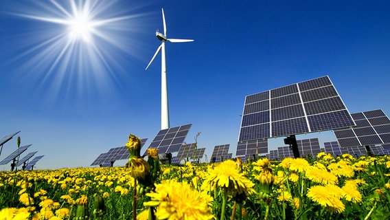 Ein Windrad und eine Solaranlage stehen in eine Rapsfeld bei blauem Himmel und die Sonne scheint. © Fotolia.com Foto: VRD