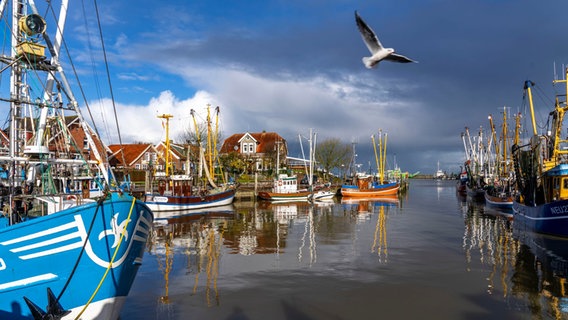 Boote im Kutterhafen Neuharlingersiel © picture alliance / Jochen Tack | Jochen Tack Foto: Jochen Tack