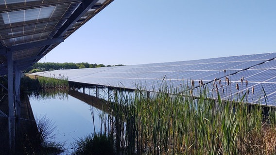 Unter Solarmodulen auf einer Wiese steht Wasser. © NDR Foto: Peer-Axel Kroeske