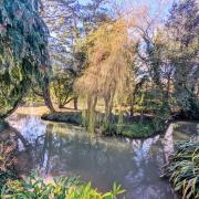 The view from Crabpot Cottages' Lakeside Lodge in Weybourne Picture: Crabpot Cottages