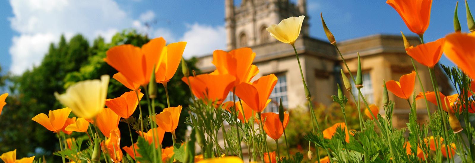 Botanic Garden and Magdalen Tower