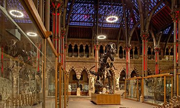 Interior of Natural History Museum at night