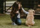 A child with a dog. Photo: Unsplash/Annie Spratt