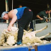 Sheep shearing guru Una Cameron