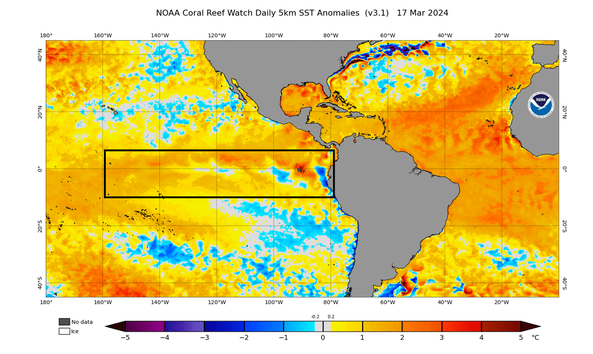 summer-2024-early-forecast-globa-ocean-surface-temperature-analysis