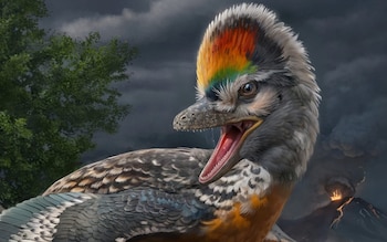 A life reconstruction of the 150-million-year-old avialan theropod Fujianvenator prodigiosus