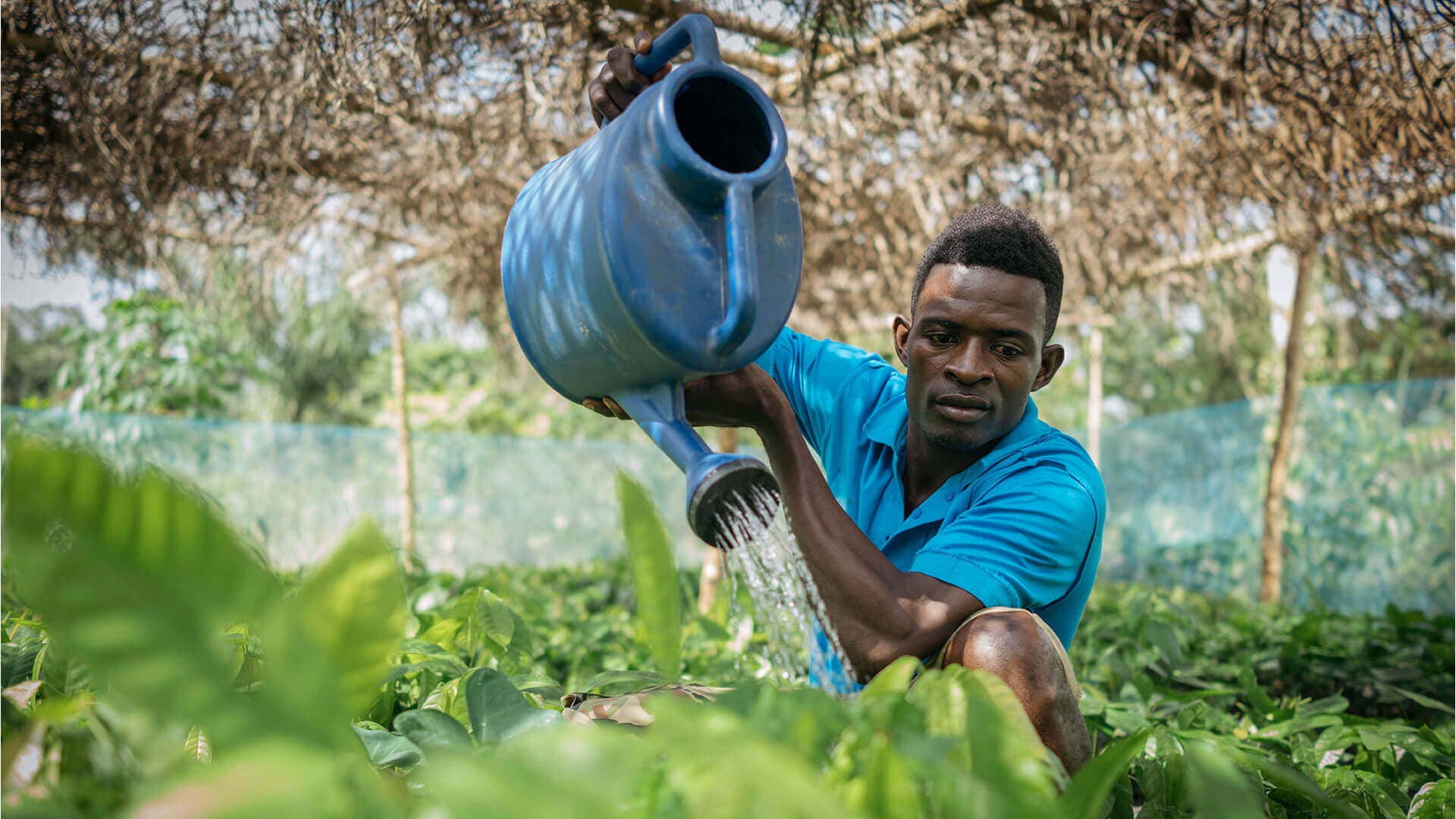 cocoa sourcing