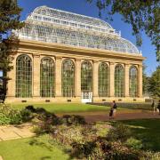 Visualisation of the restored Victorian Palm House