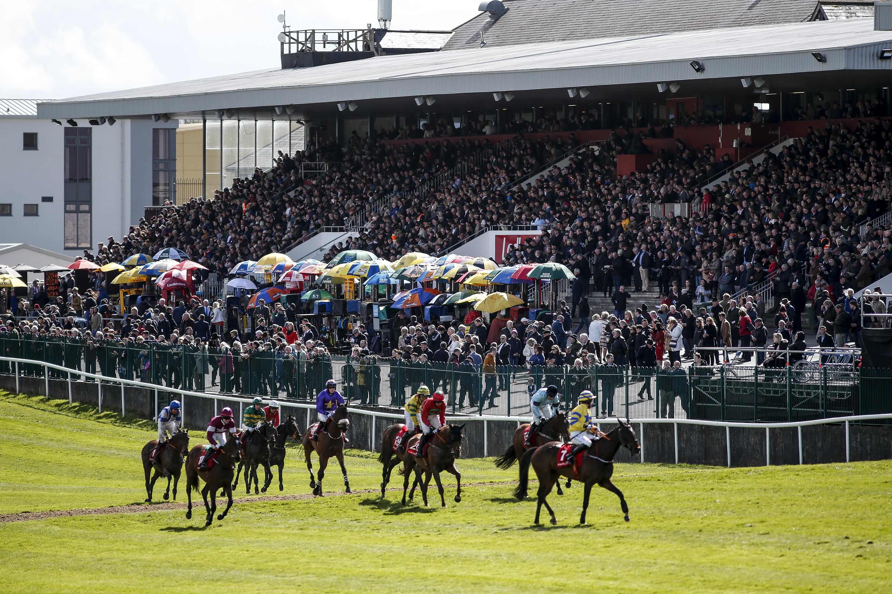 Punchestown Festival 'monitoring situation' after latest going update