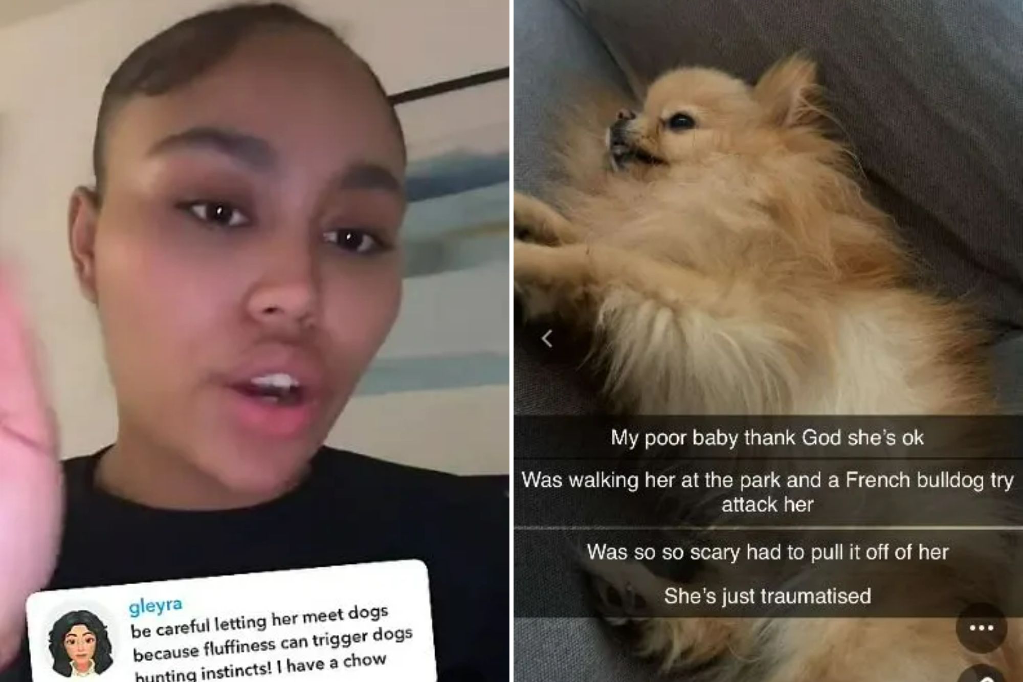 Ella Thomas' dog left ‘screaming and crying’ after bulldog attack