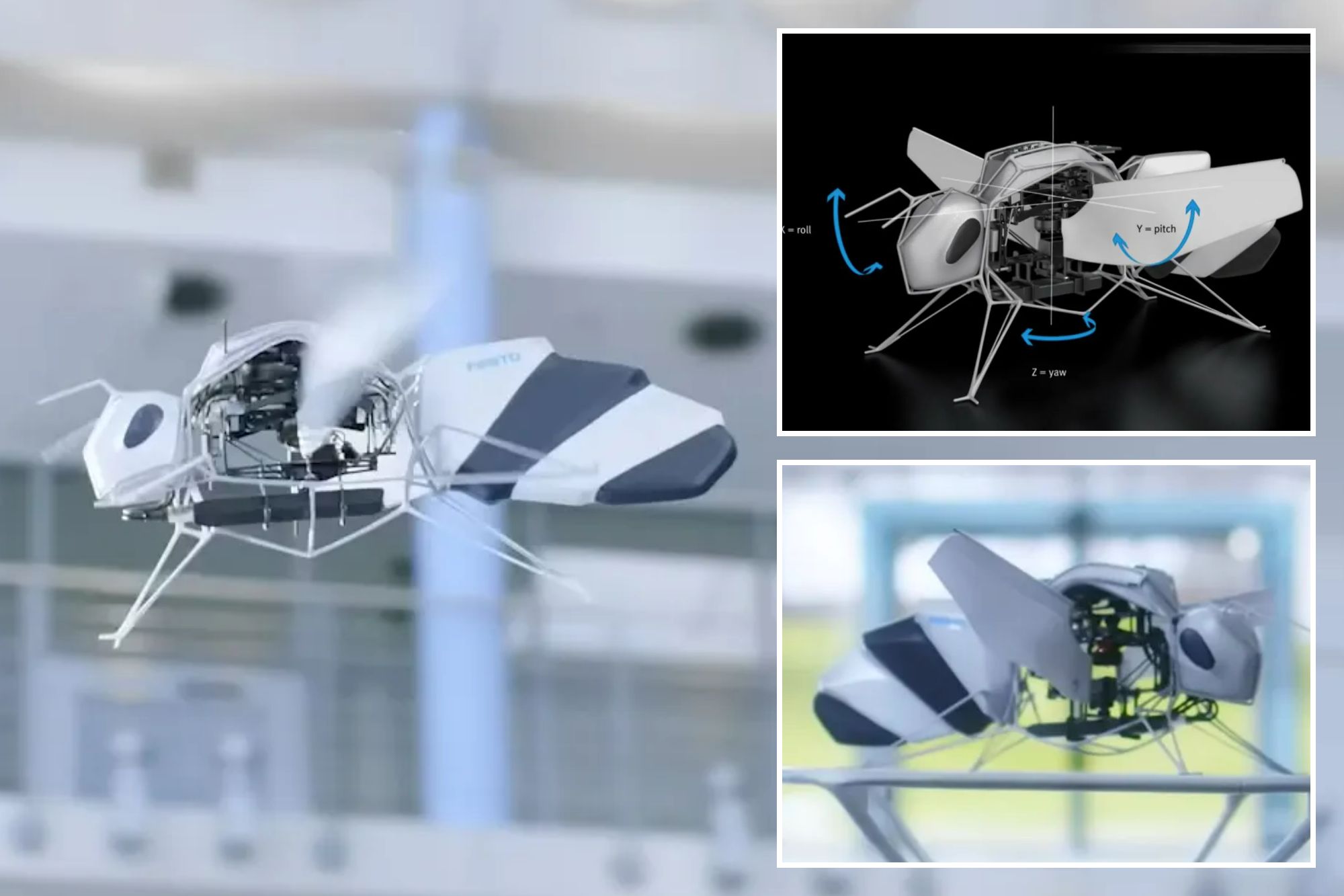 Scientists unveil giant robot bees that can fly and SWARM in groups autonomously
