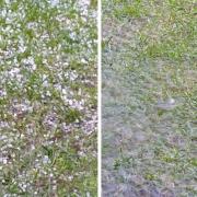 Gardens in Bradford were pelted by hail and drenched by rainwater as a thunderstorm brought severe weather on Monday afternoon.