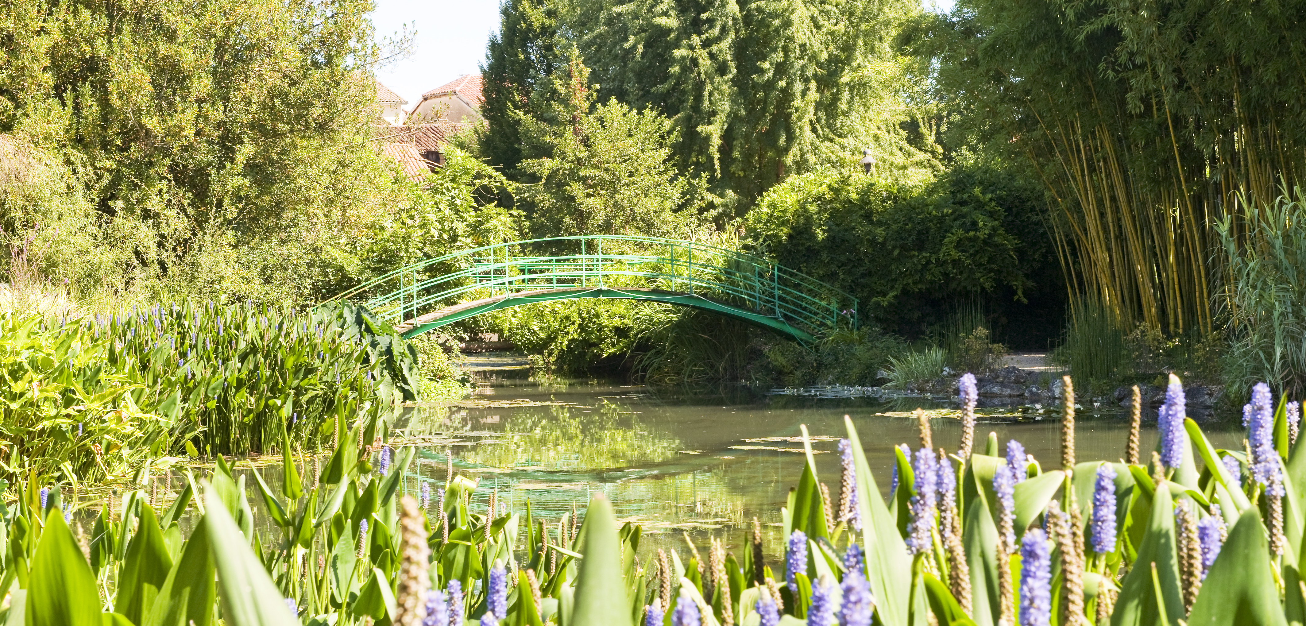 Monet’s Bridge and garden at Giverny