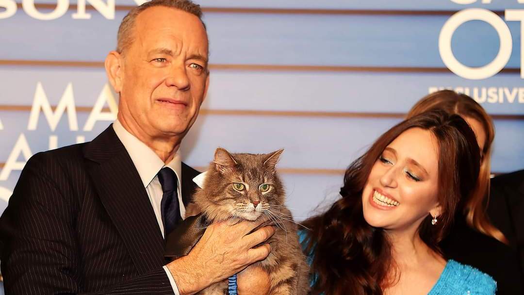 This is a photograph of a beloved movie star — being held by Tom Hanks. Schmagel the cat starred alongside Hanks and Mariana Treviño in 2022’s A Man Called Otto