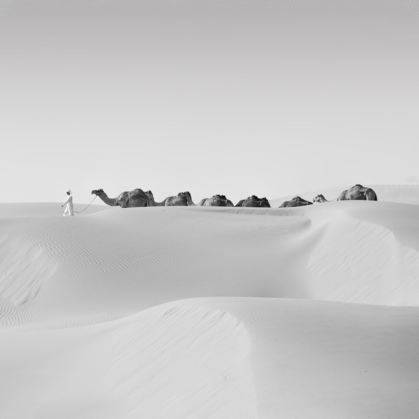 “Decisive” in the dunes of Liwa desert in Abu Dhabi
