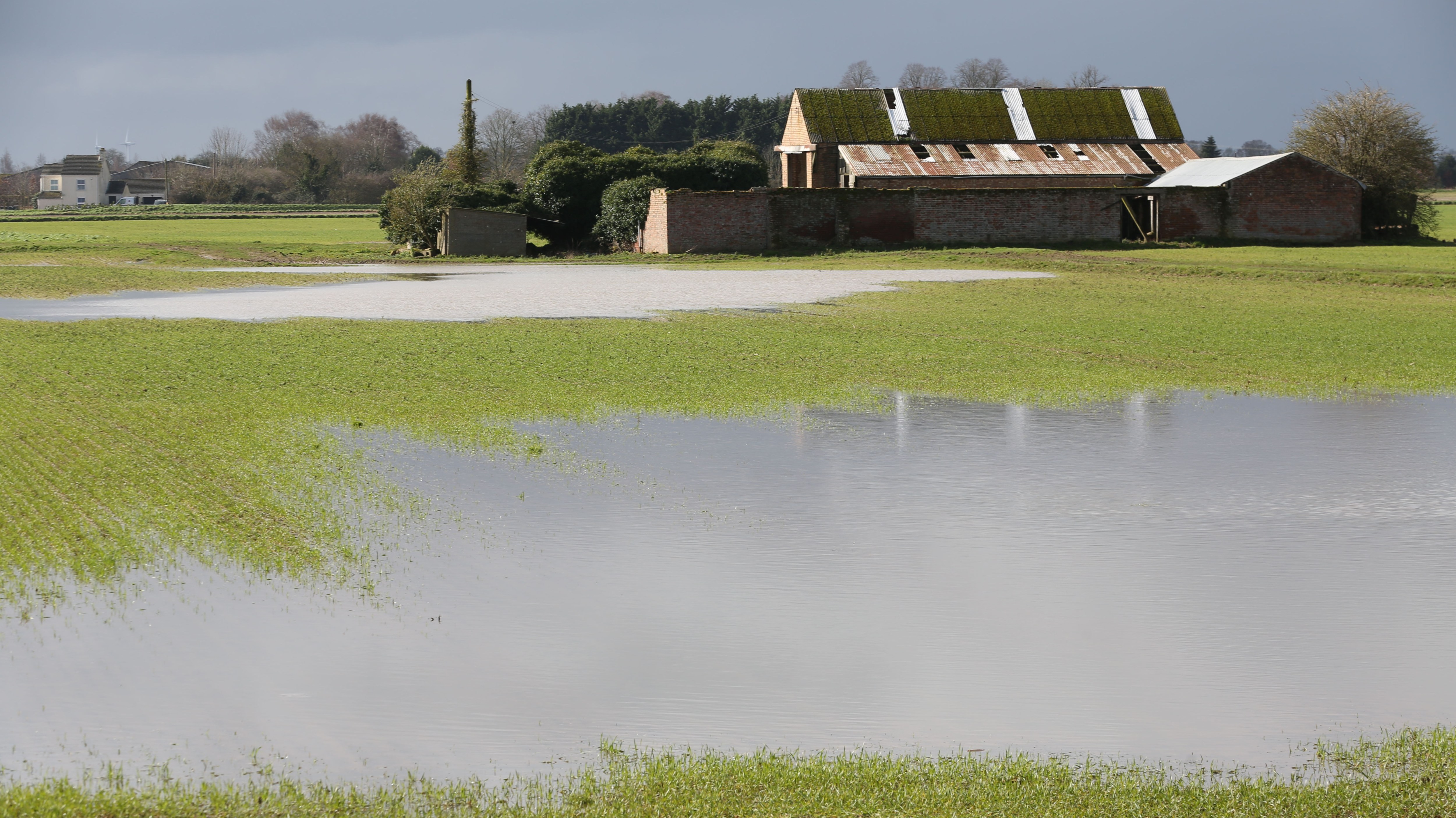 Farms will take a long time to recover from record rainfall