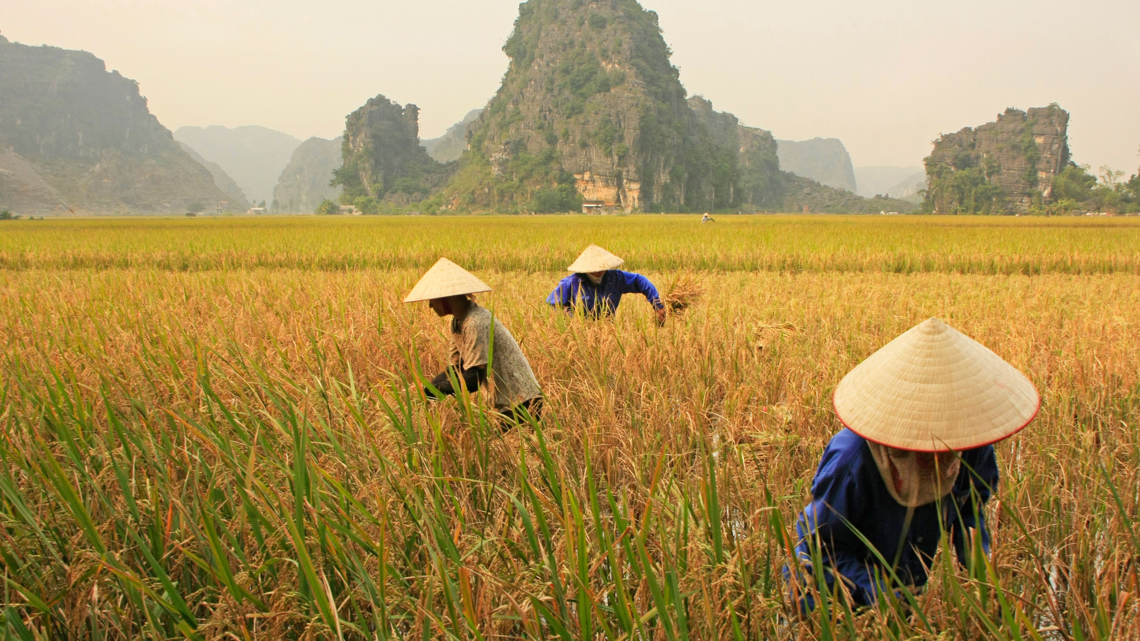 I saw more of Vietnam in a week than in three months’ backpacking