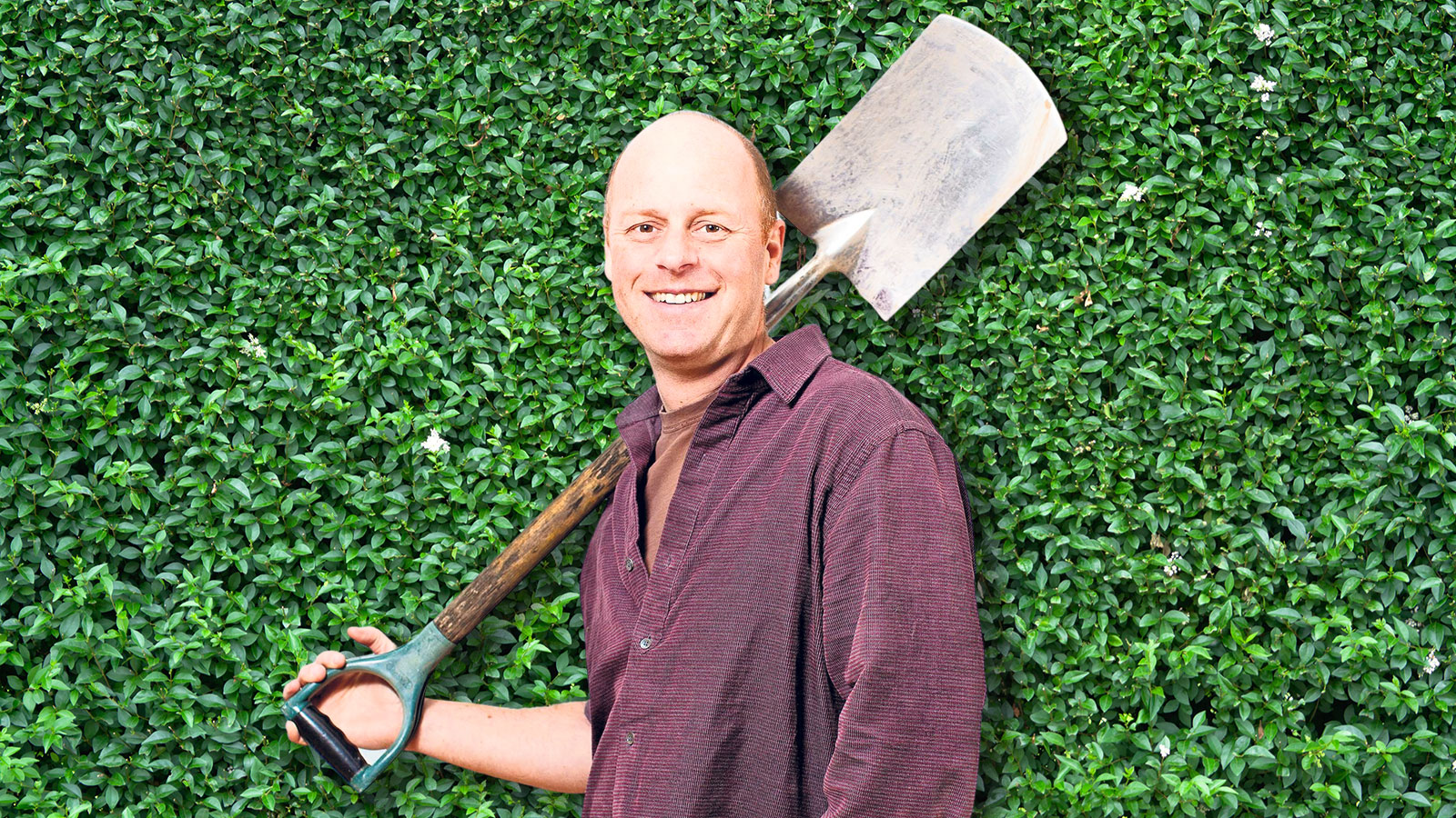 Joe Swift: how to grow a cut-flower garden