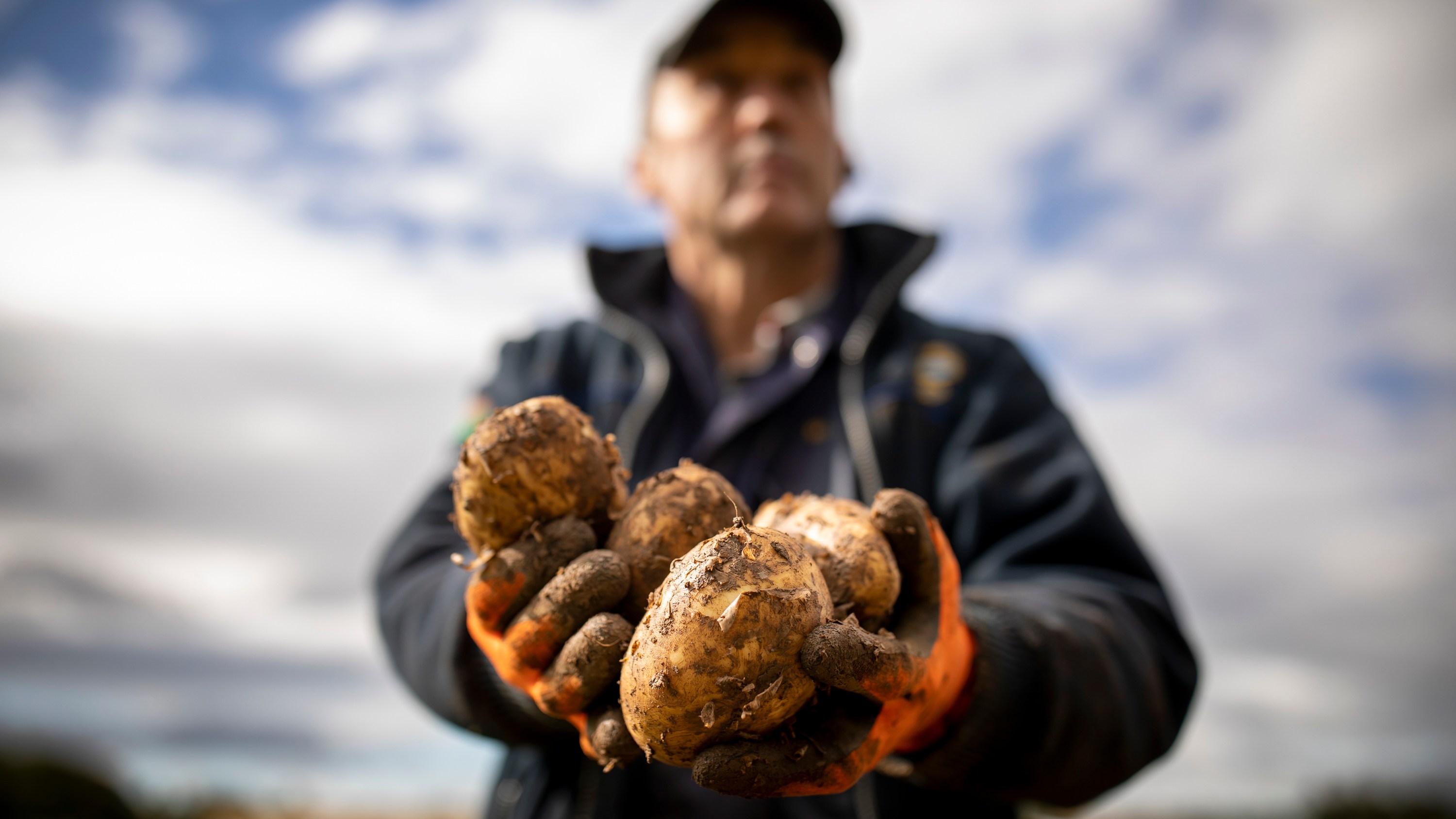 Potatoes won’t be as cheap as chips following storms