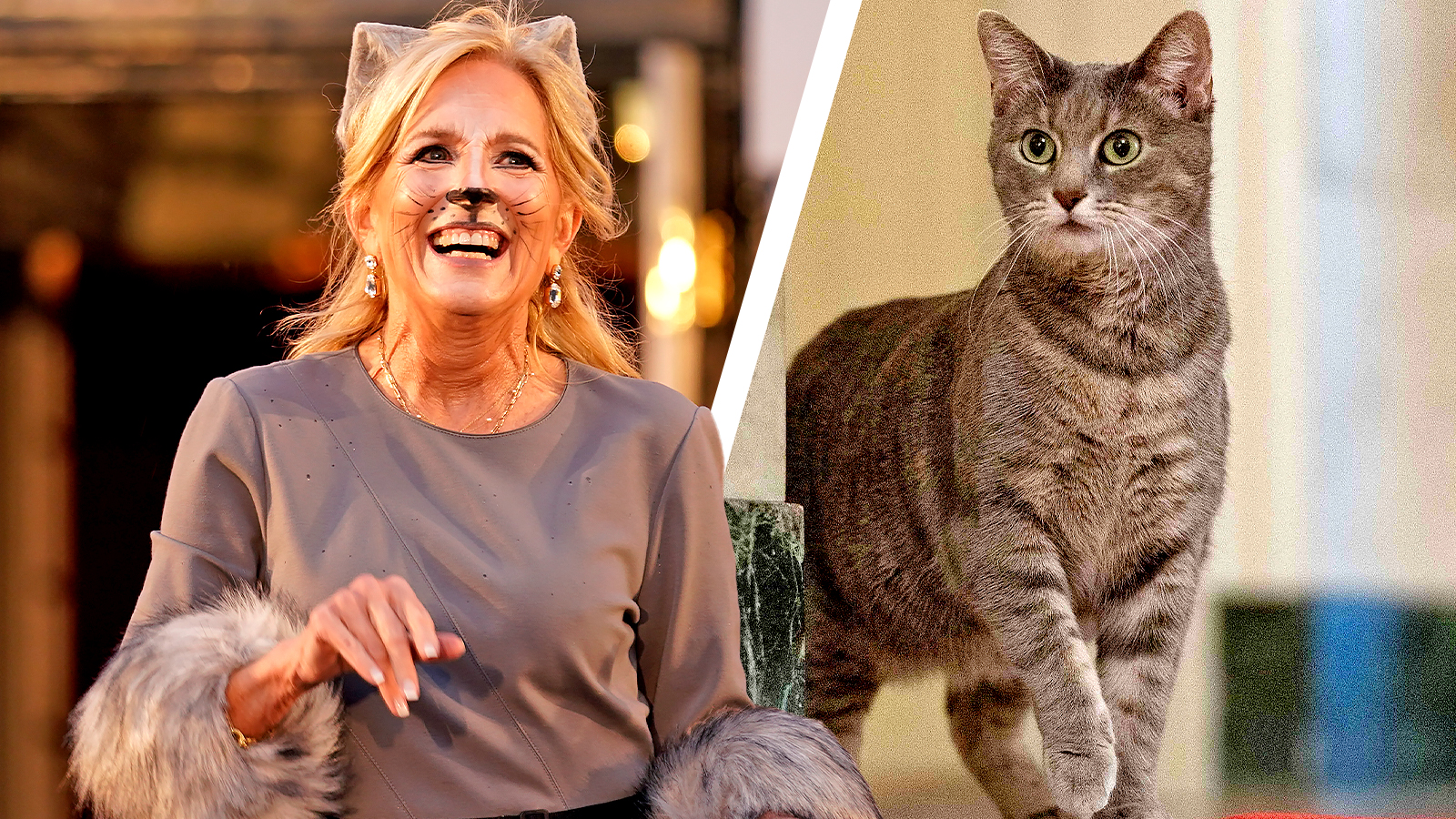 Jill Biden dressed as Willow the cat for Halloween last year