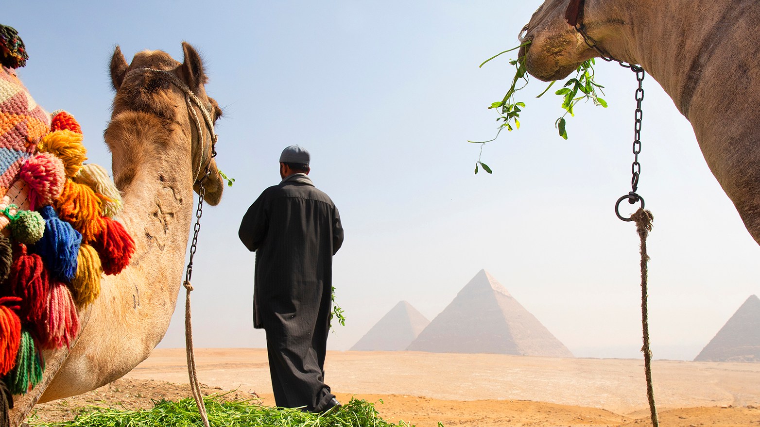 Is it safe to travel to Egypt right now? 2024 travel advice