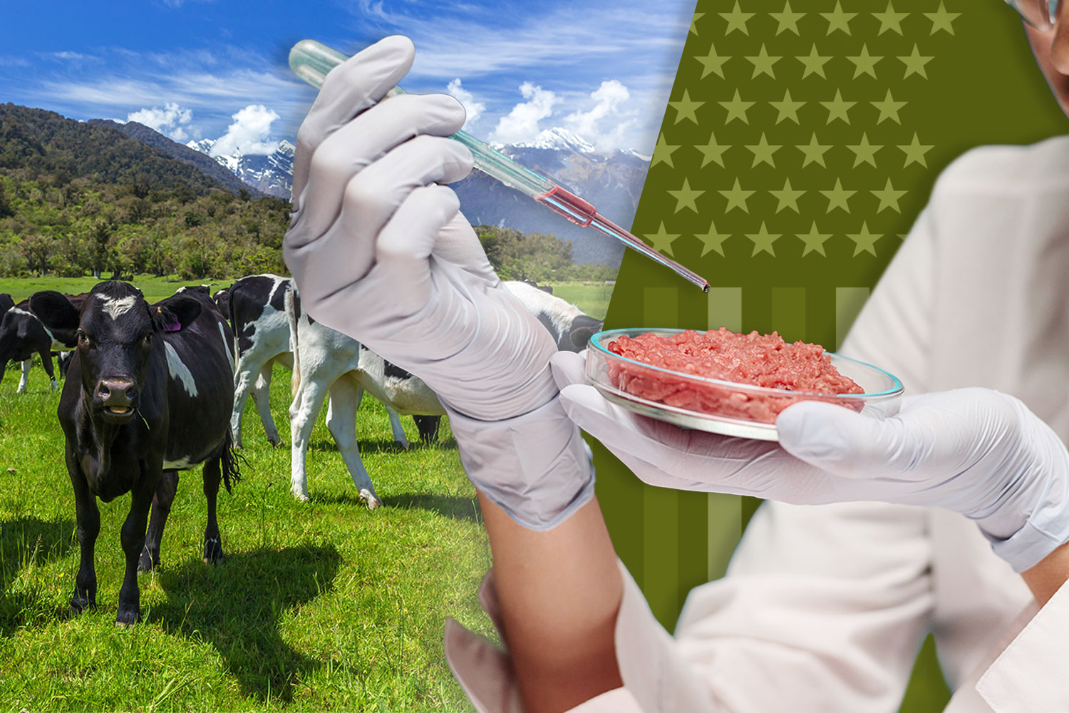 Inside America’s billion-dollar culture war over lab-grown meat
