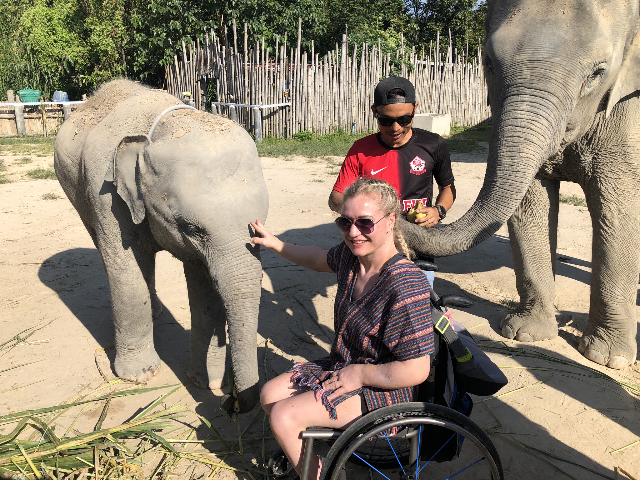 With elephants in Thailand