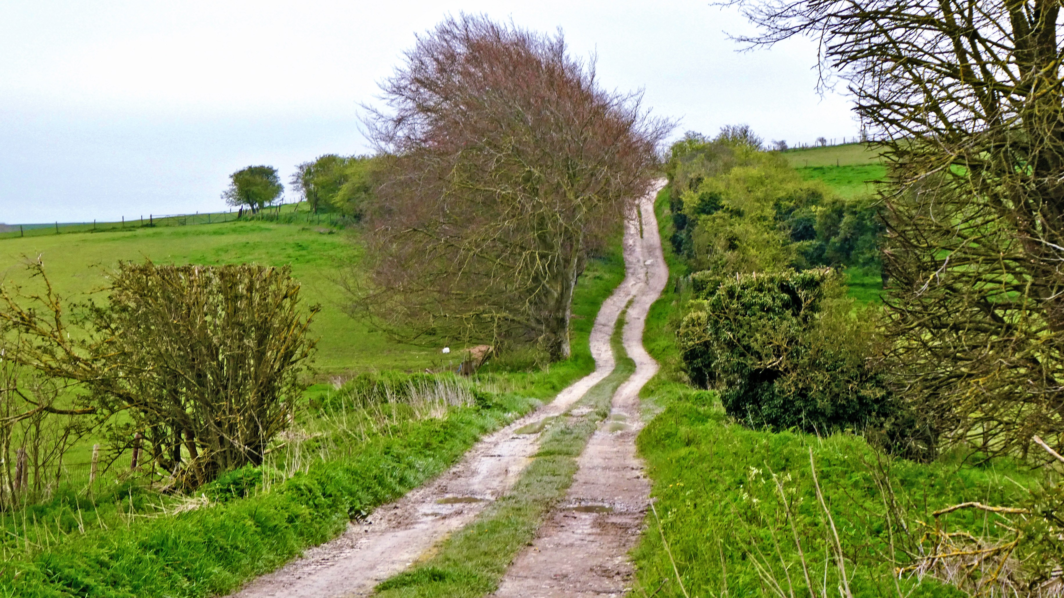 A good walk: Bishopstone and the Ridgeway, Wiltshire