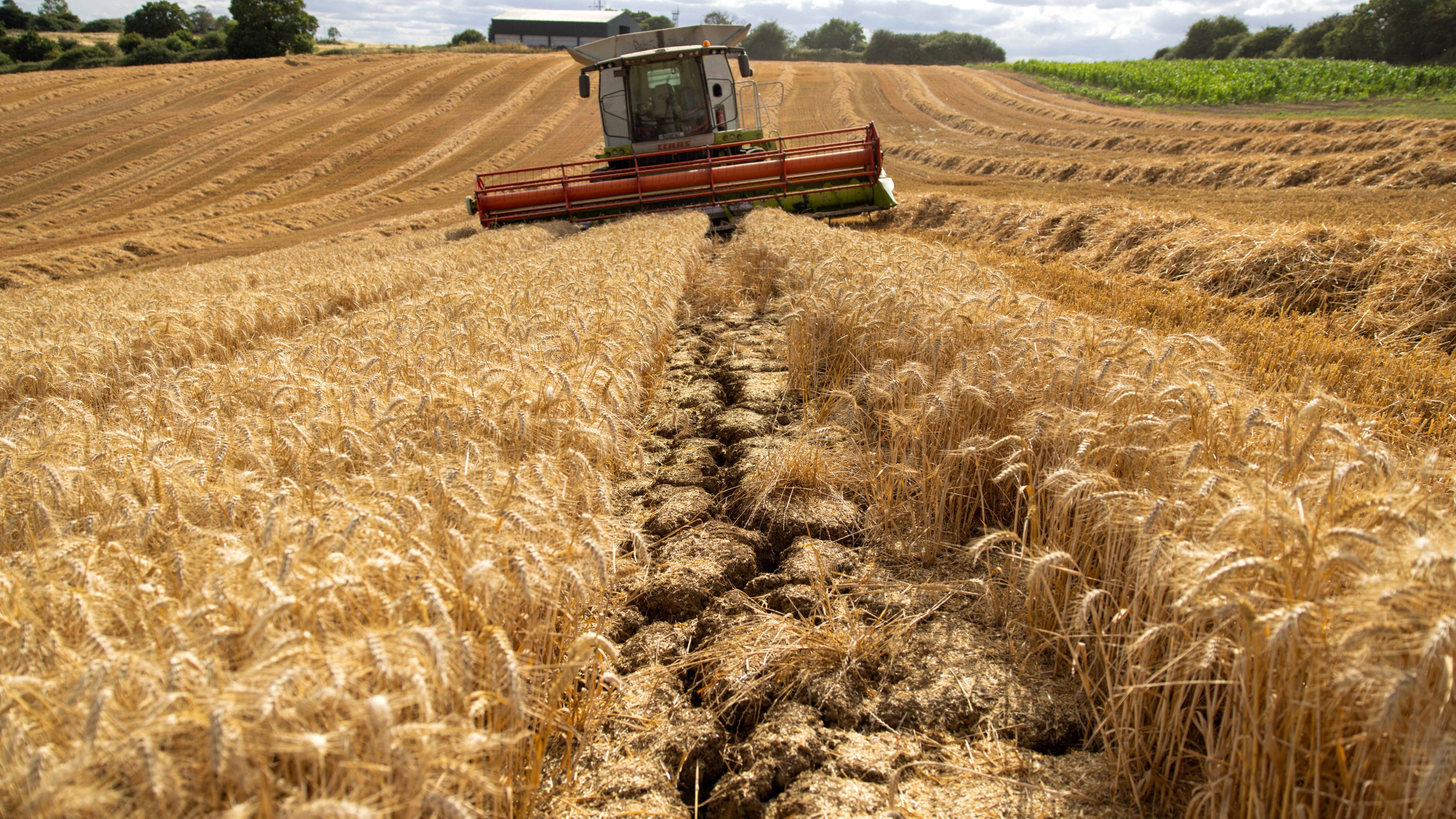 Agriculture worldwide faces multiple stresses, says Professor Stephen Euston of Heriot-Watt University