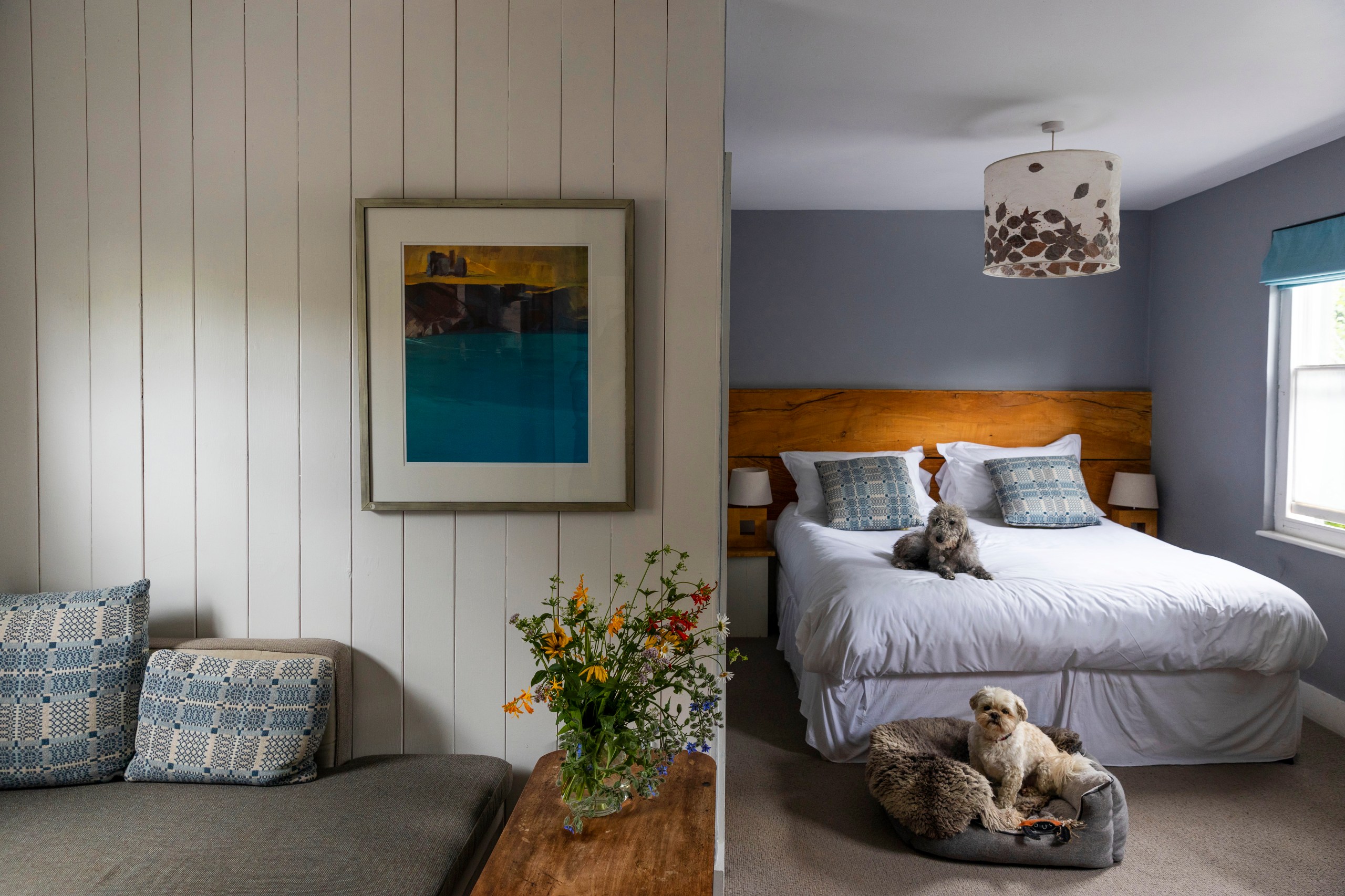 Pets are welcome in the mews rooms at Llys Meddyg