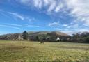 The old cricket field at Barbon