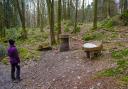 Giant bobbin in Great Wood. These woodlands used to provide timber for producing iron, gunpowder, bobbins and oak bark for leather tanning