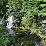 Colwith Force