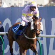 Takingrisks ridden by Sean Quinlan wins the Coral Scottish Grand National Handicap Chase during Coral Scottish Grand National Day at Ayr. Pic: PA