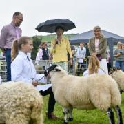 Westmorland County Show 2021. Day Two. John Atkinson from The Rare Breeds Society with The Princess Royal (centre) and The Countess of Wessex:.9 September 2021.Stuart Walker.Copyright Stuart Walker Photography 2021.