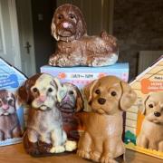 I taste tested Easter chocolate puppies from Aldi and M&S - who did it the best?