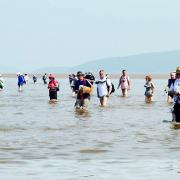 Walkers on the Bay