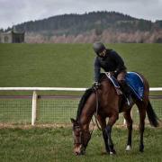 James Moffatt riding Highland Lodge.