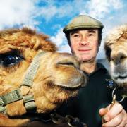 Westmorland County Show 2005 competitor Robin Sandys-Clarke of Sedbergh with his alpacas