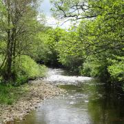 River Wyre at Cleveley bridge