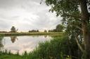 Hardley Flood near Loddon