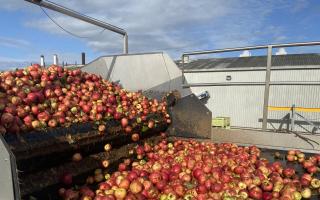 Thatchers Cider is to hold a career day for prospective apprentices.