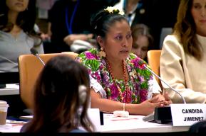 From UN Headquarters, Maya embroiderer from Mexico calls for safeguarding Yucatecan textile art and the condition of Mexican women artisans