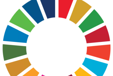 UN Sustainable Development Goals (SDGs) Logo
